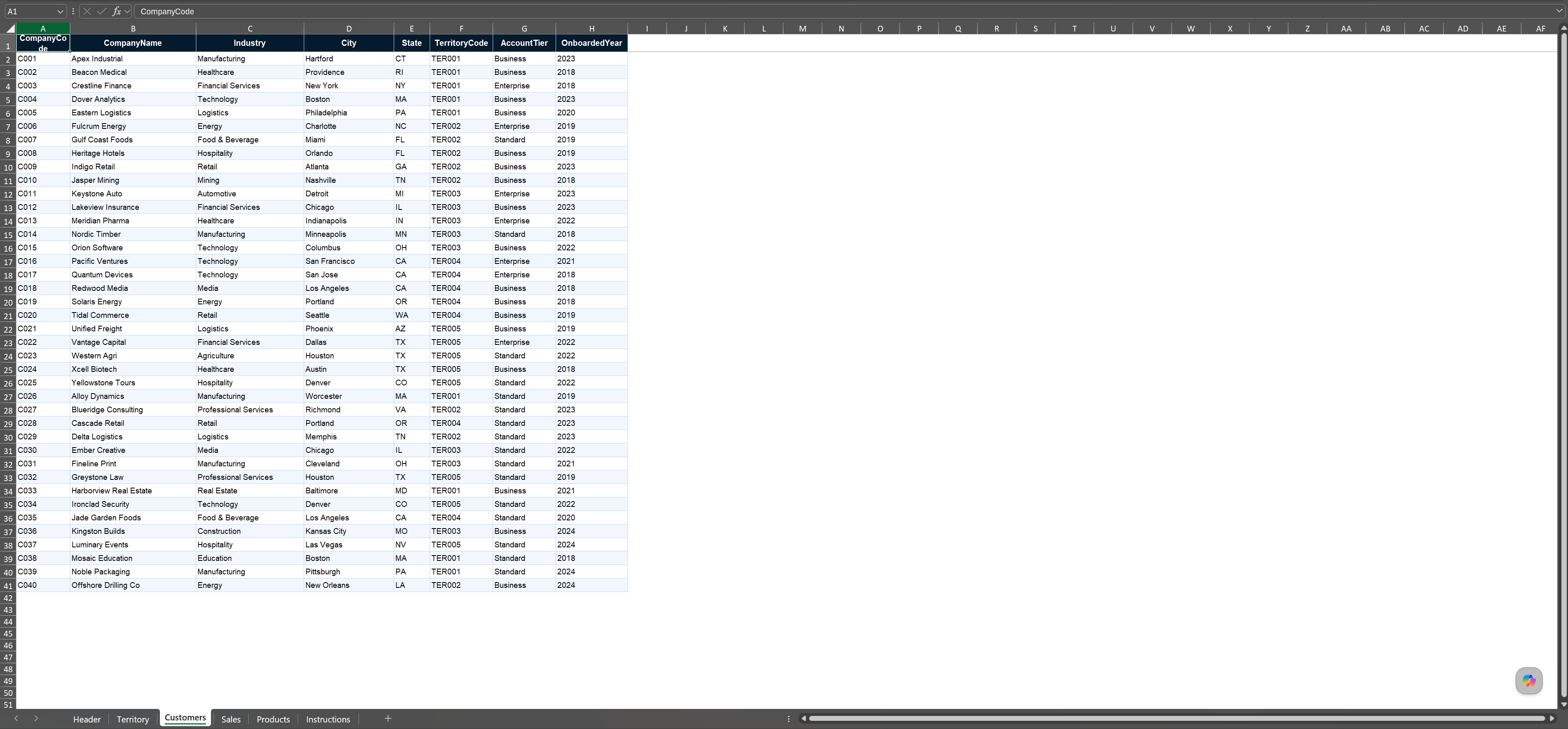 Completed Customers sheet in the generated Navi Excel workbook